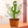 Cacto Canta e Dança Cactucho